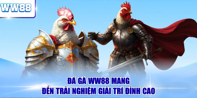 Đá gà WW88 mang đến trải nghiệm giải trí đỉnh cao 