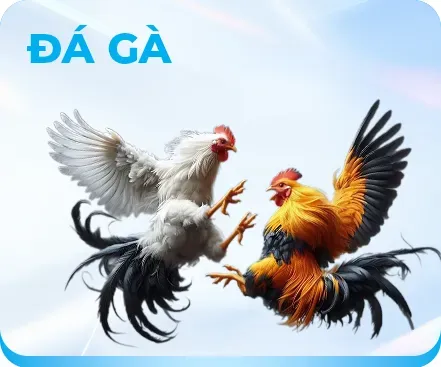 icon-da-ga-ww88