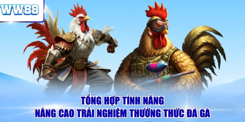 Tổng hợp tính năng nâng cao trải nghiệm thưởng thức đá gà